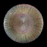Wholesale Glass Charger Plate PZ-046